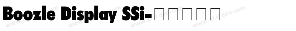 Boozle Display SSi字体转换